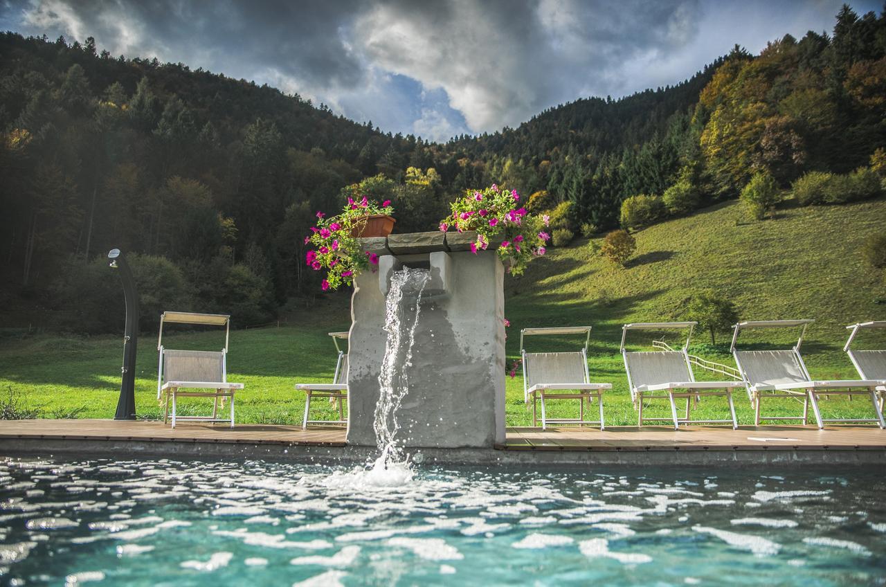 Chalet Verde Lenzumo di Concei Bagian luar foto